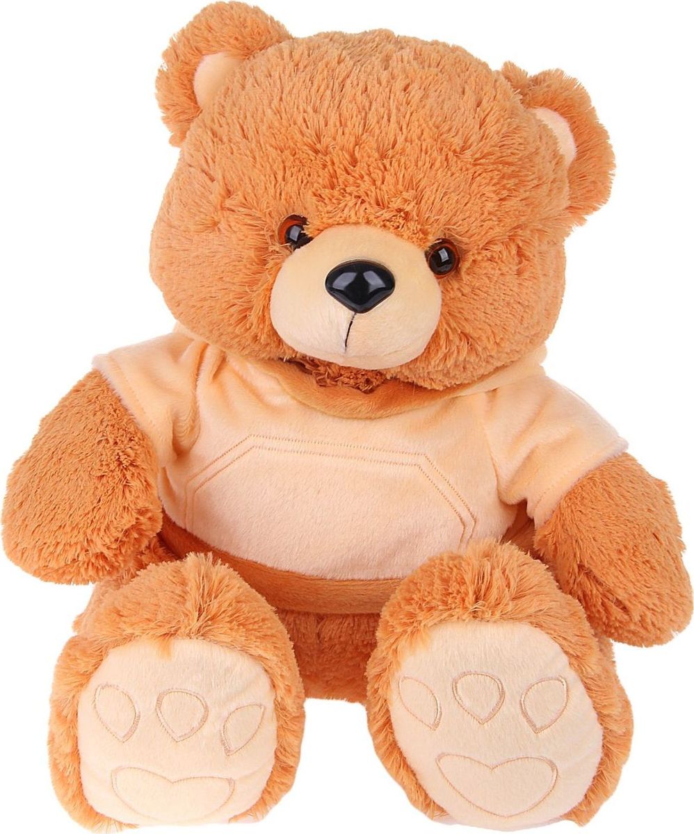 Картинки игрушки. Мягкая игрушка "медведь в кофте с капюшоном te amo" (17x28x20 см). Медвежонок игрушка. Мягкие игрушки для детей. Плюшевые игрушки для детей.