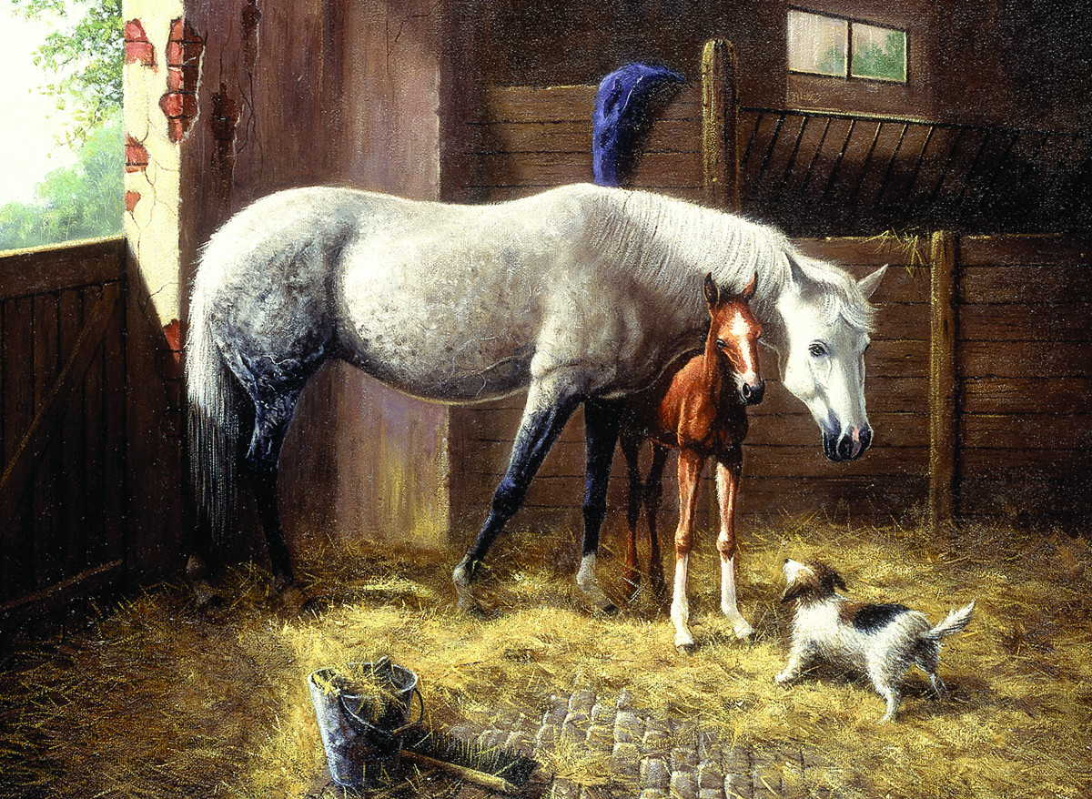 Картина лошади и собаки - 91 фото