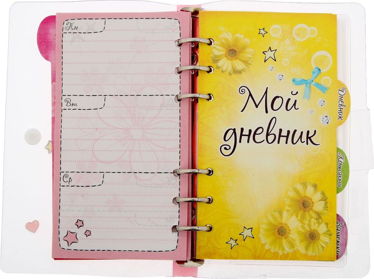 Оформление ежедневника. Название ежедневника. Идеи для планирования ежедневника. Оформить ежедневник. Органайзер со сменными блоками.