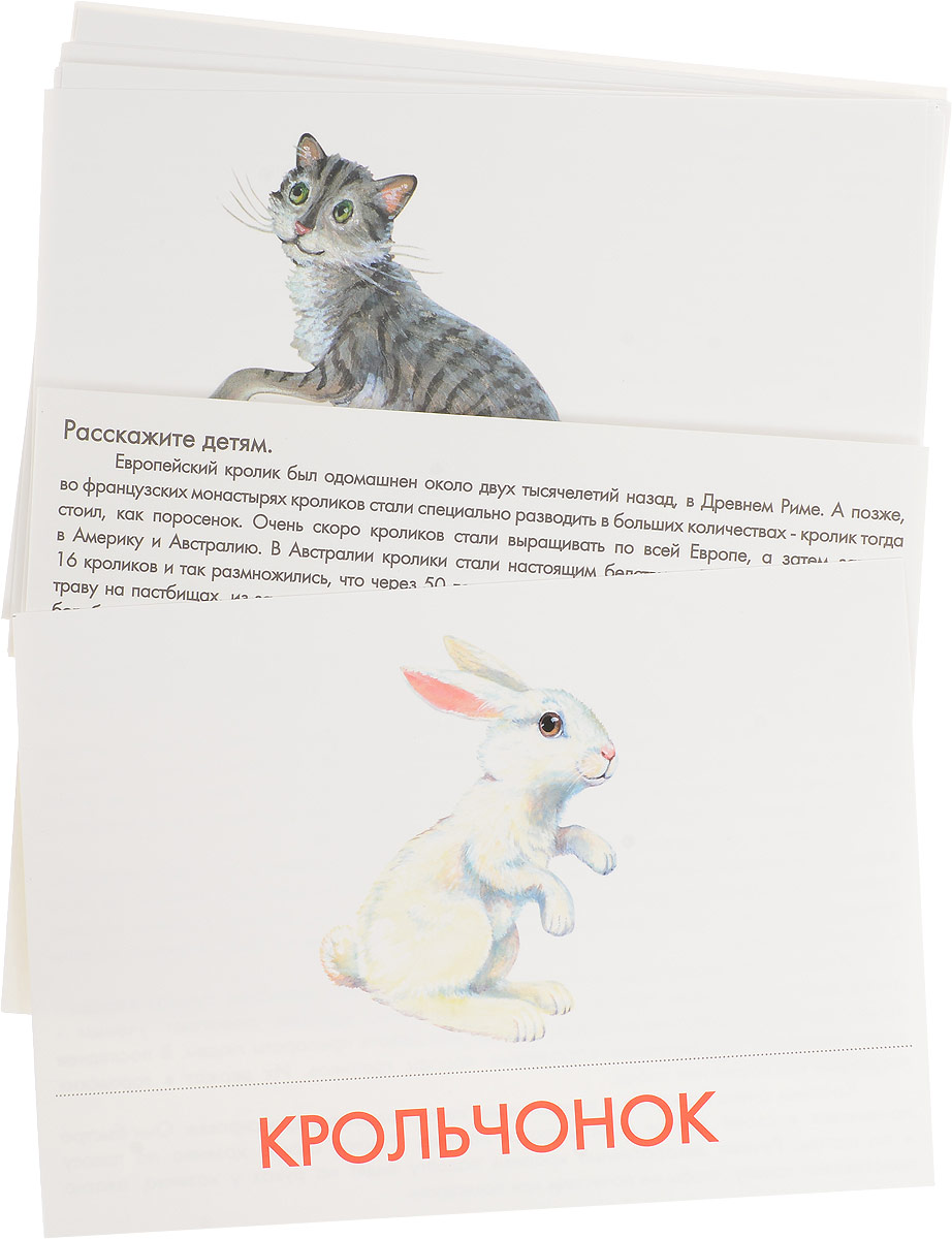Маленький гений-Пресс Обучающая игра Домашние животные и их детеныши