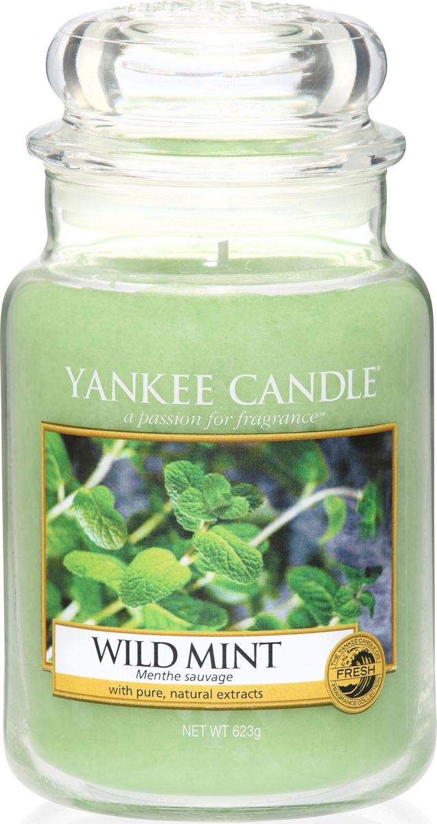 фото Ароматическая свеча Yankee Candle "Дикая мята / Wild Mint", 110-150 ч