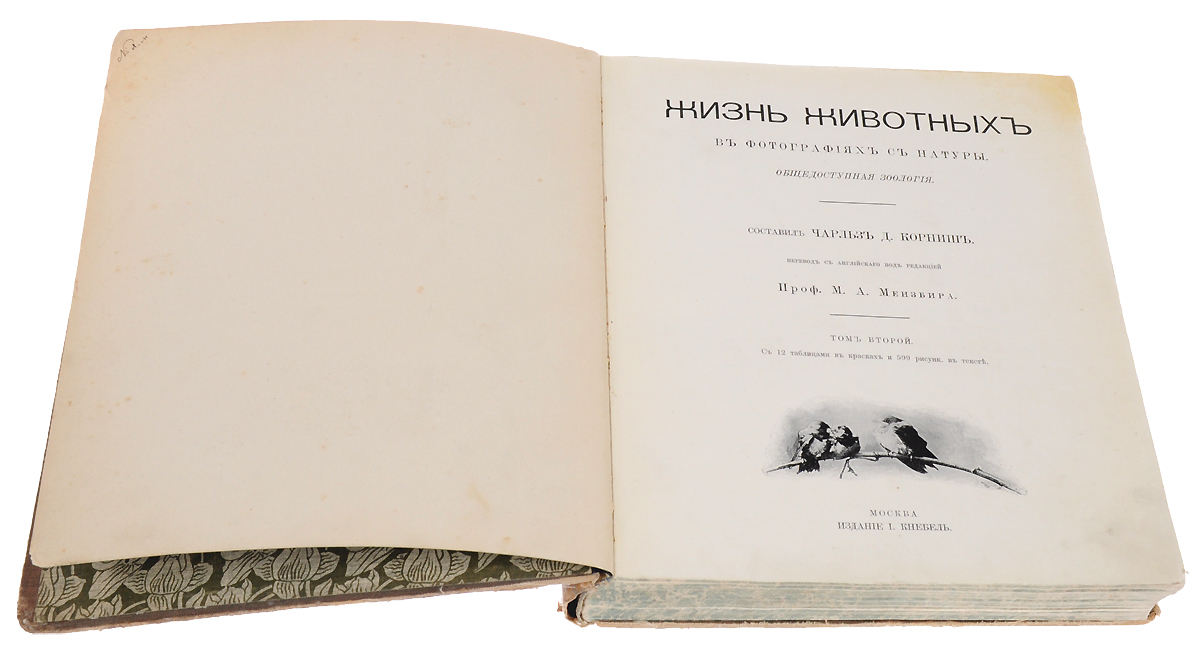 Смоленск в натуре книга. Издательство Кнебель. Издательство Кнебель в Москве. Издание Кнебель наши друзья