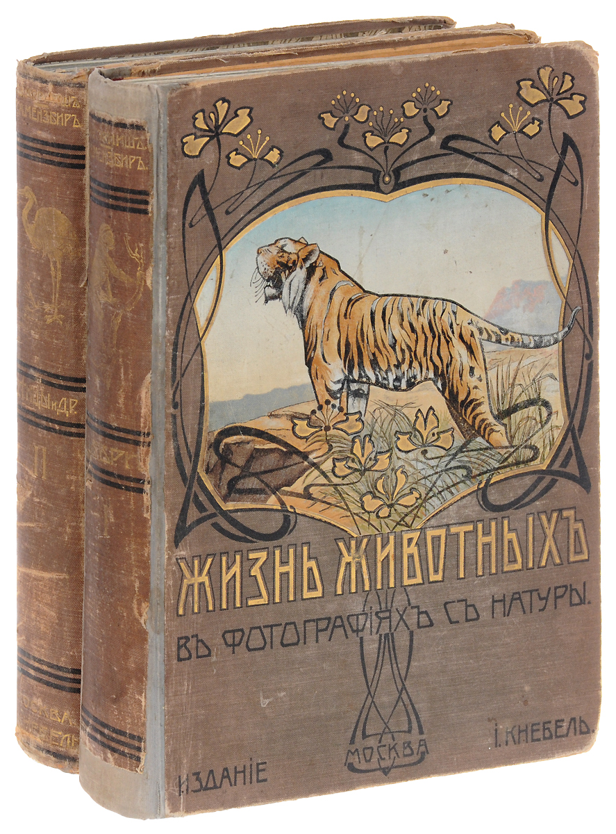 Смоленск в натуре книга. Жизнь животных. Брем жизнь животных. Жизнь животных книга. Жизнь животных советское издание