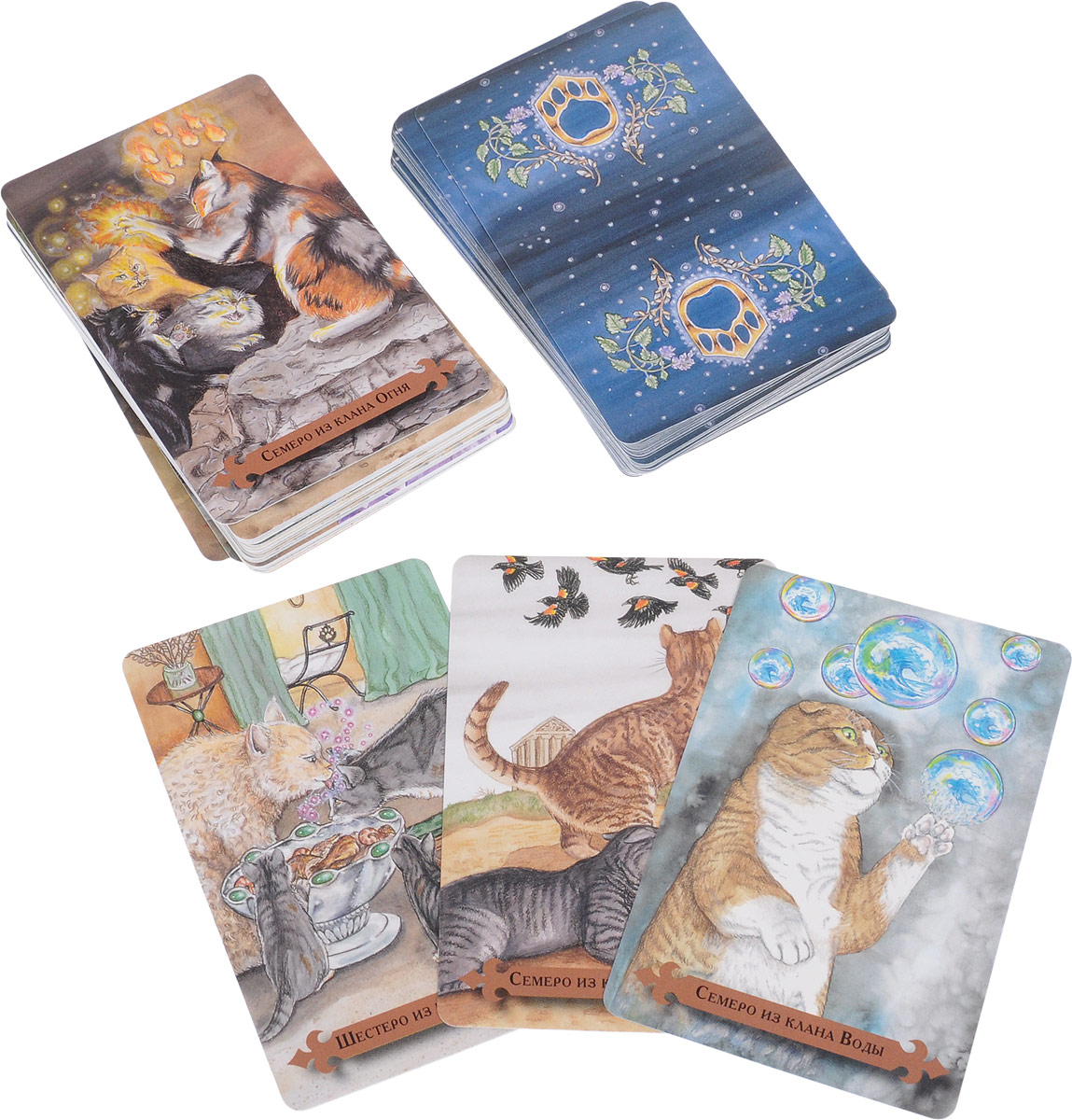 Таро кошек. Колода Таро Cat Tarot. Таро мистических кошек галерея. Кошачьи колоды Таро. Колода кошек Таро мистических.