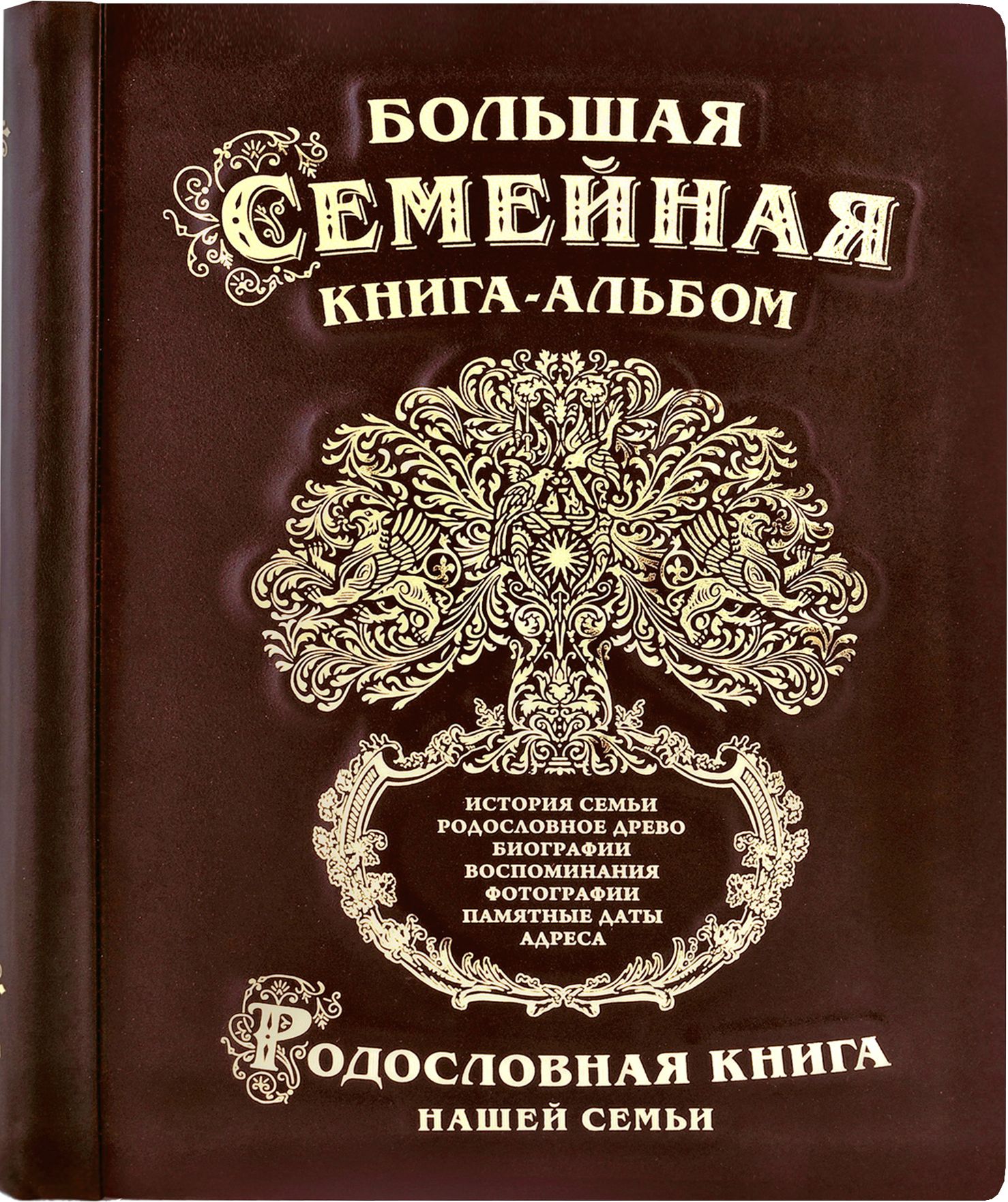 Дизайн родословной книги