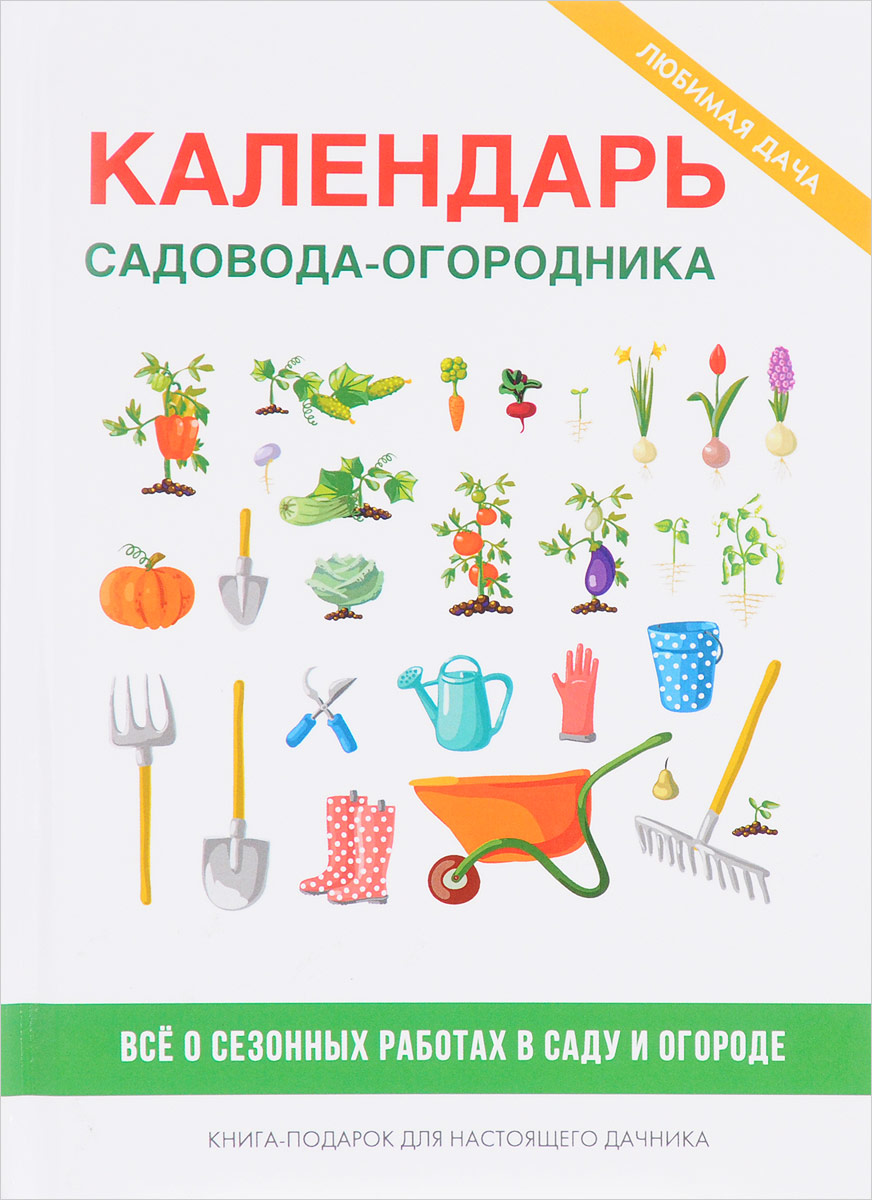 Гадания на Новый 2019 год Гадания на Новый 2019 год