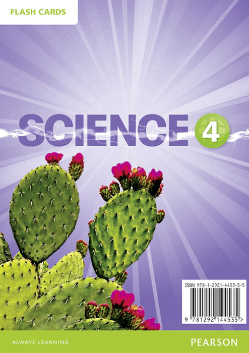 фото Big Science: Level 4: Flashcards (DVD) Pearson education limited