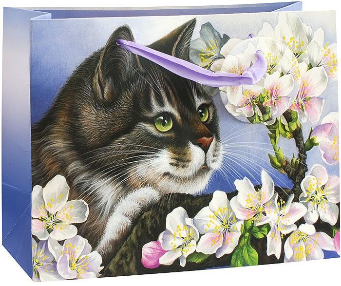 Белоснежка кот. Пакет с цветами яблони. Пазл кошки с цветами яблони. Пакет с котиками и цветочками. Котик Белоснежка.