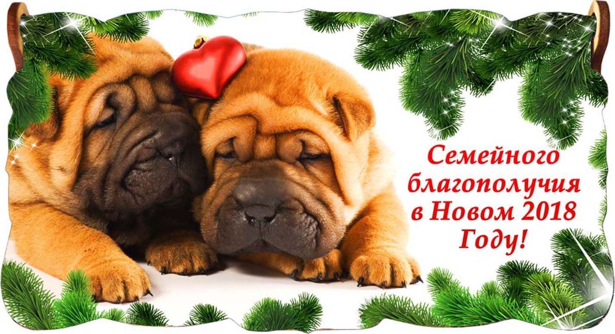 Год собаки какой цвет. Год собаки какой цвет