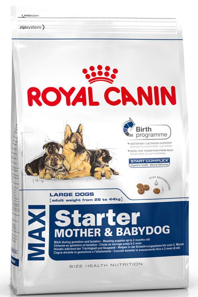 фото Корм сухой Royal Canin "Maxi Starter", для щенков крупных размеров в период отъема до 2-месячного возраста, для собак в последней трети беременности и во время лактации, 15 кг