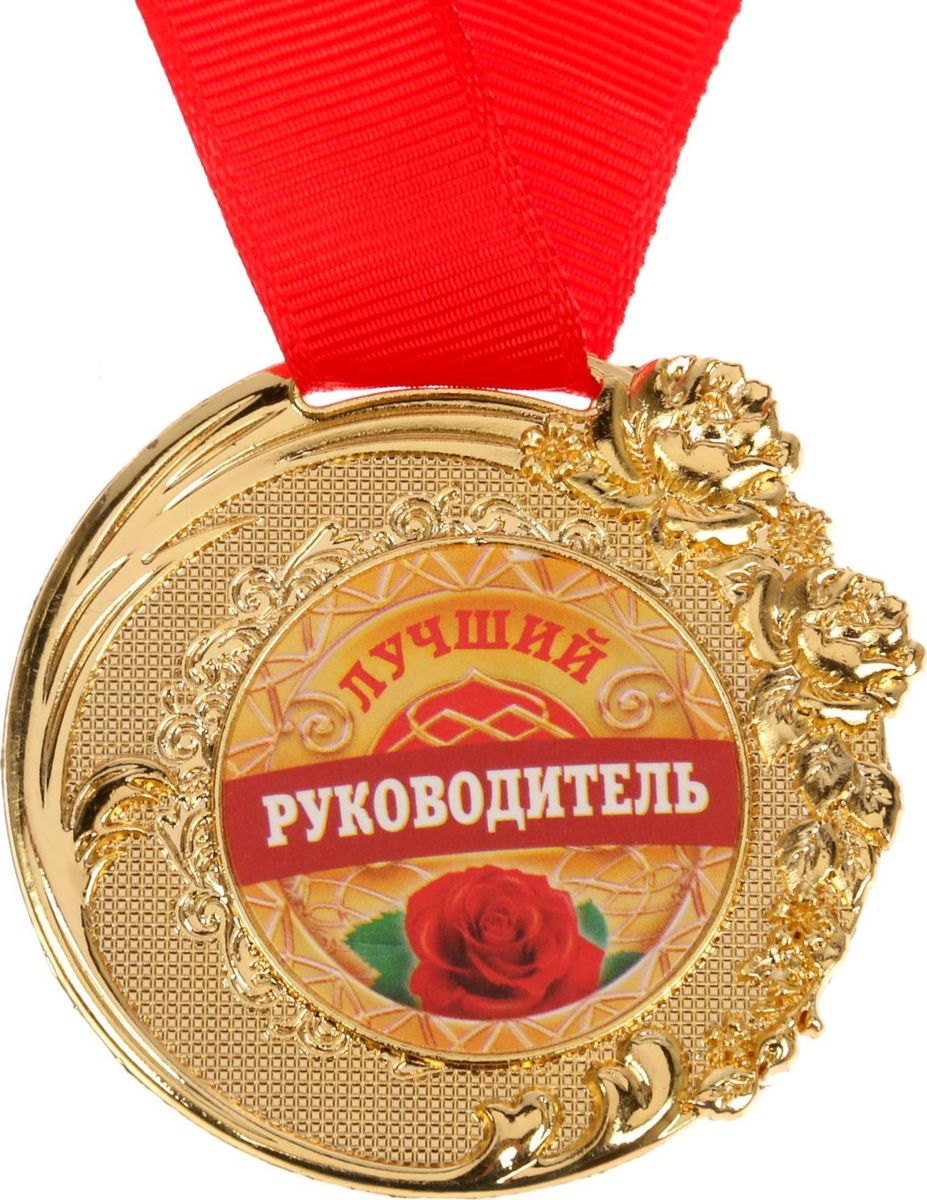 Самый лучший руководитель прикольные картинки