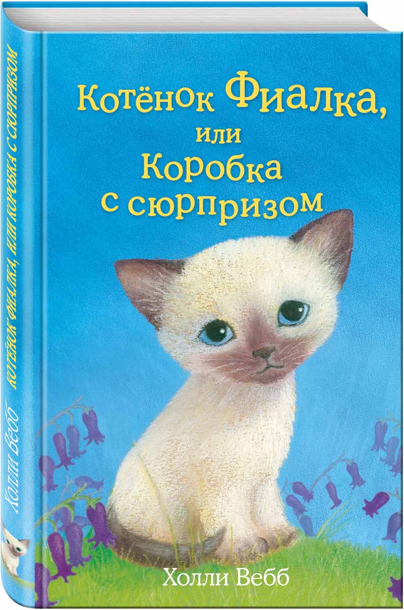 фото Котенок Фиалка, или Коробка с сюрпризом