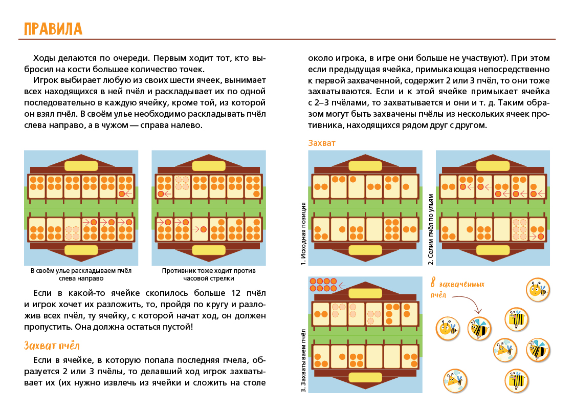 Клевер белый медонос. Клевер луговой растение. Клевер луговой ботаника. Клевер трифолиум. Клевер улей.