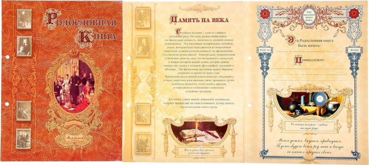 Картинка родословная книга