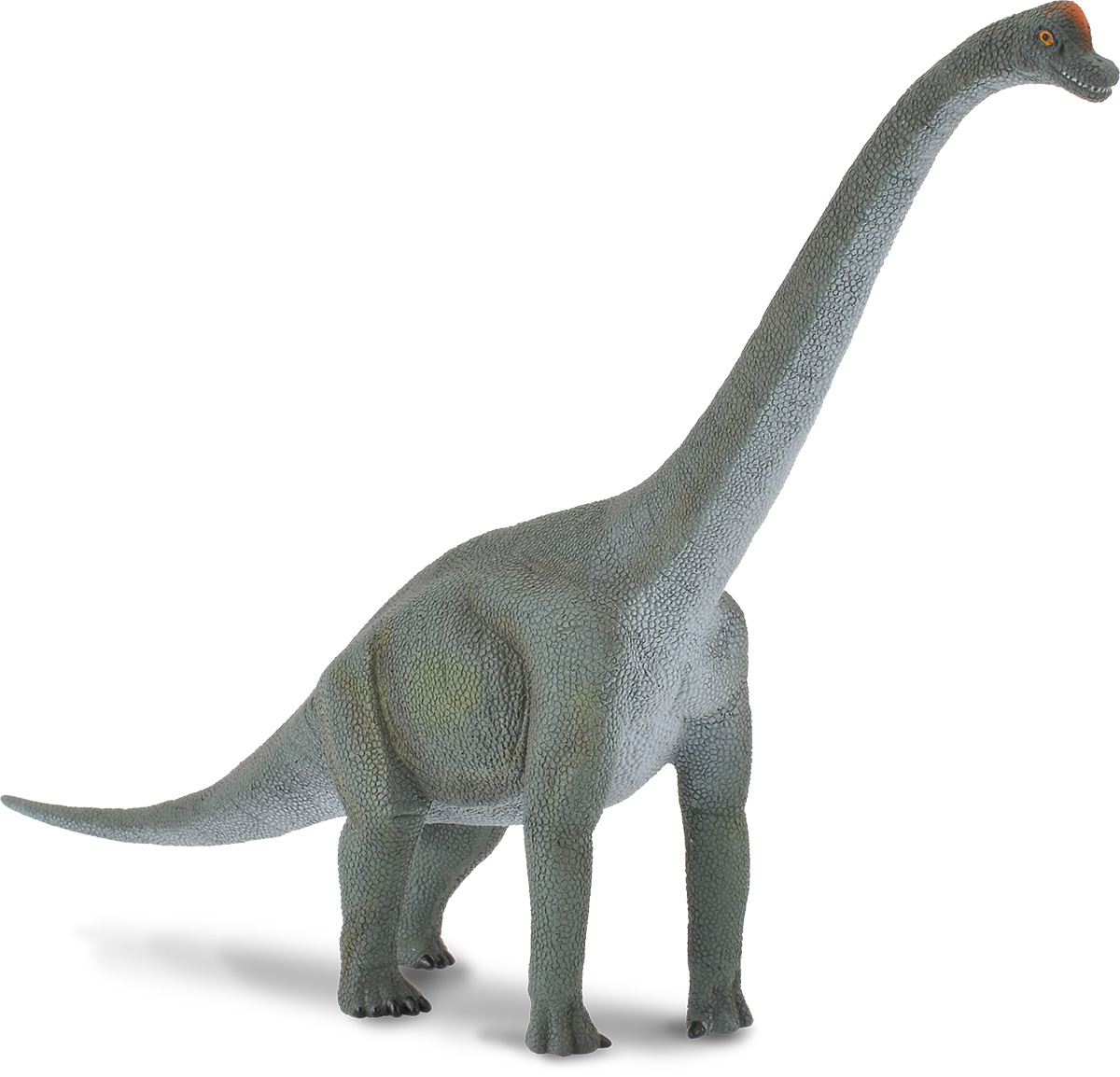 Collecta Фигурка Брахиозавр