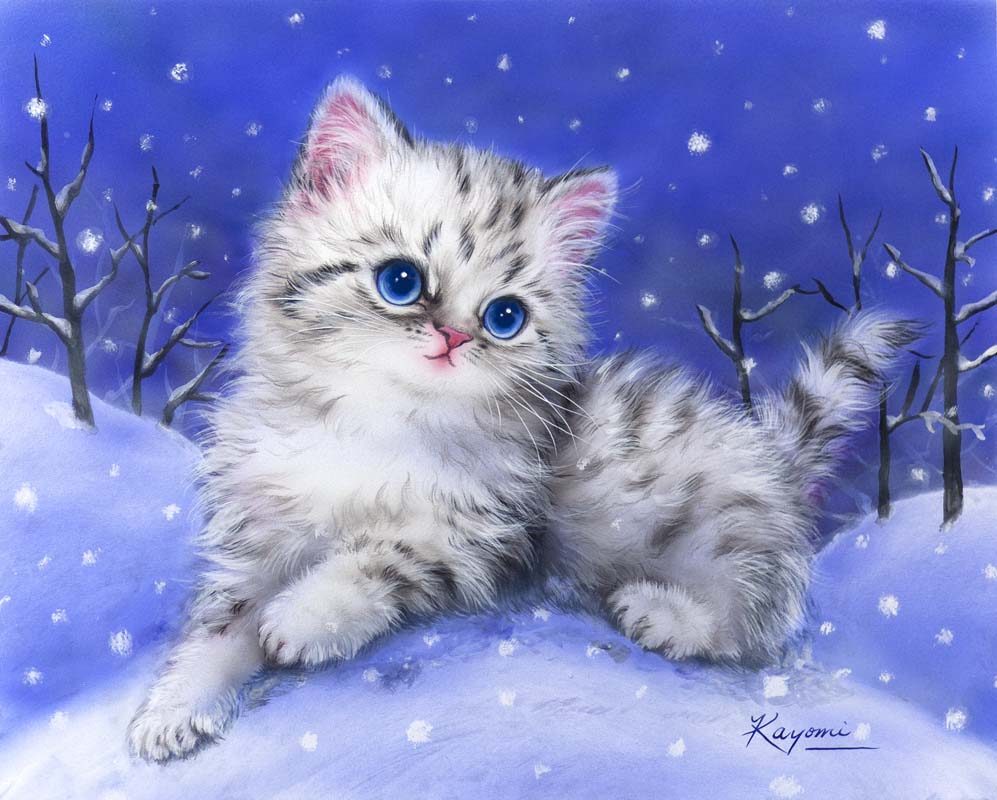 Поздравлениями для, открытка с рисунком котика