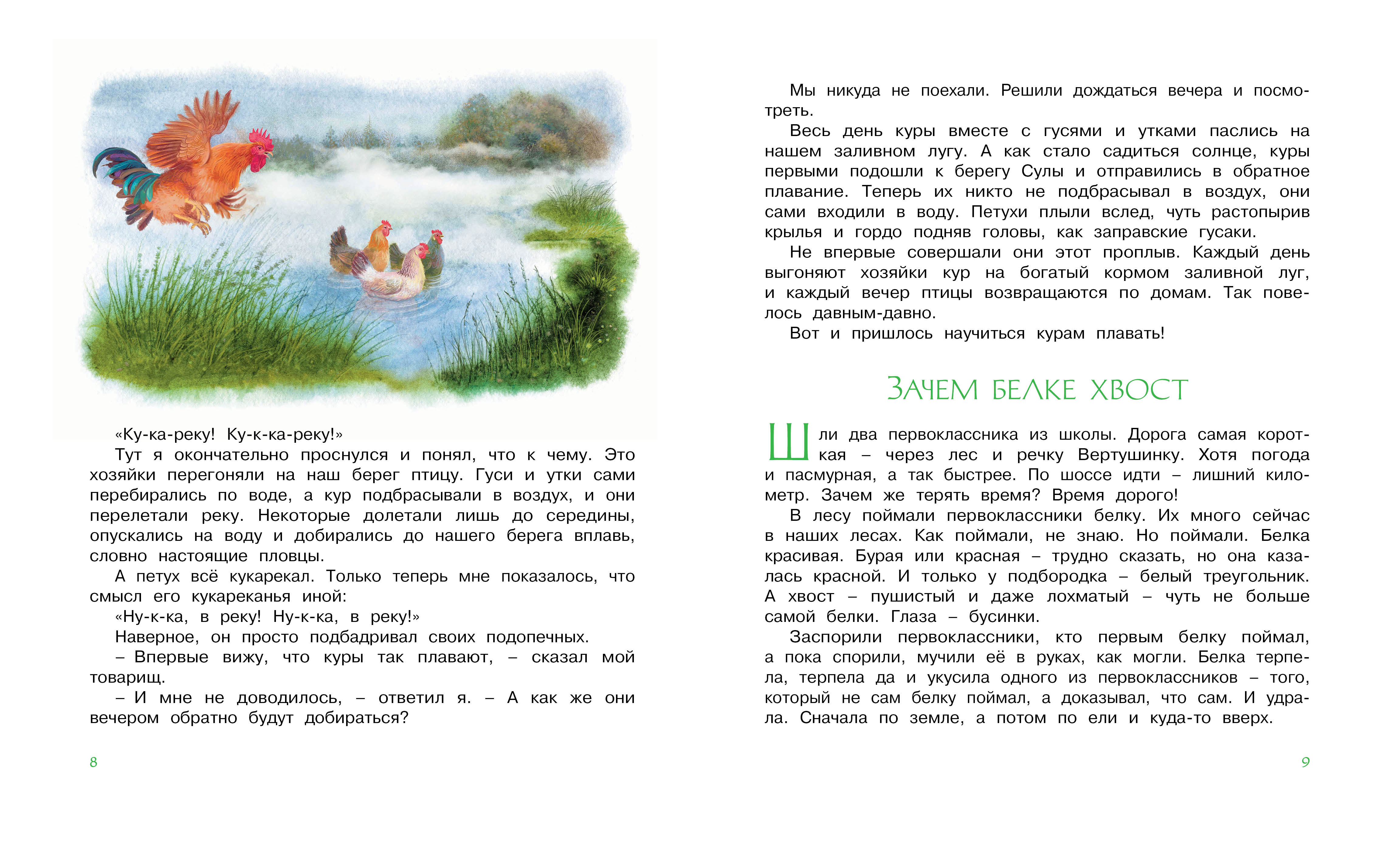 зачем белке хвост. шикарный хвост белки. жизнь белки зимой. хвост белки для детей. почему беличий хвост по мнению автора.