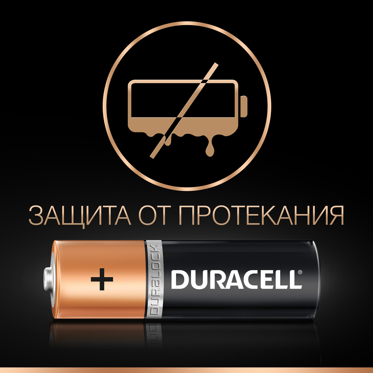 фото Набор щелочных батареек Duracell Basic, тип АА, 6 шт