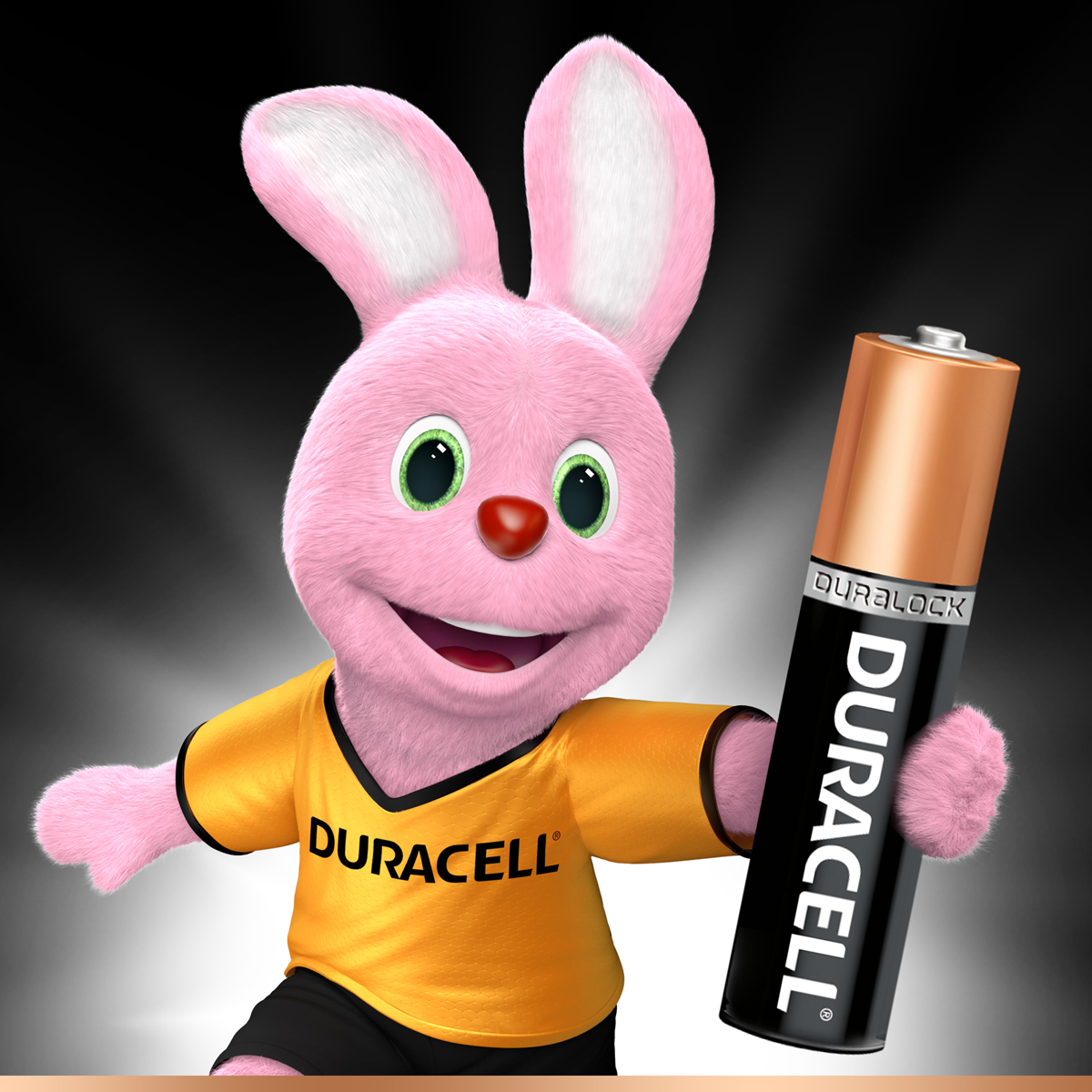 фото Набор щелочных батареек Duracell, тип AAA, 2 шт