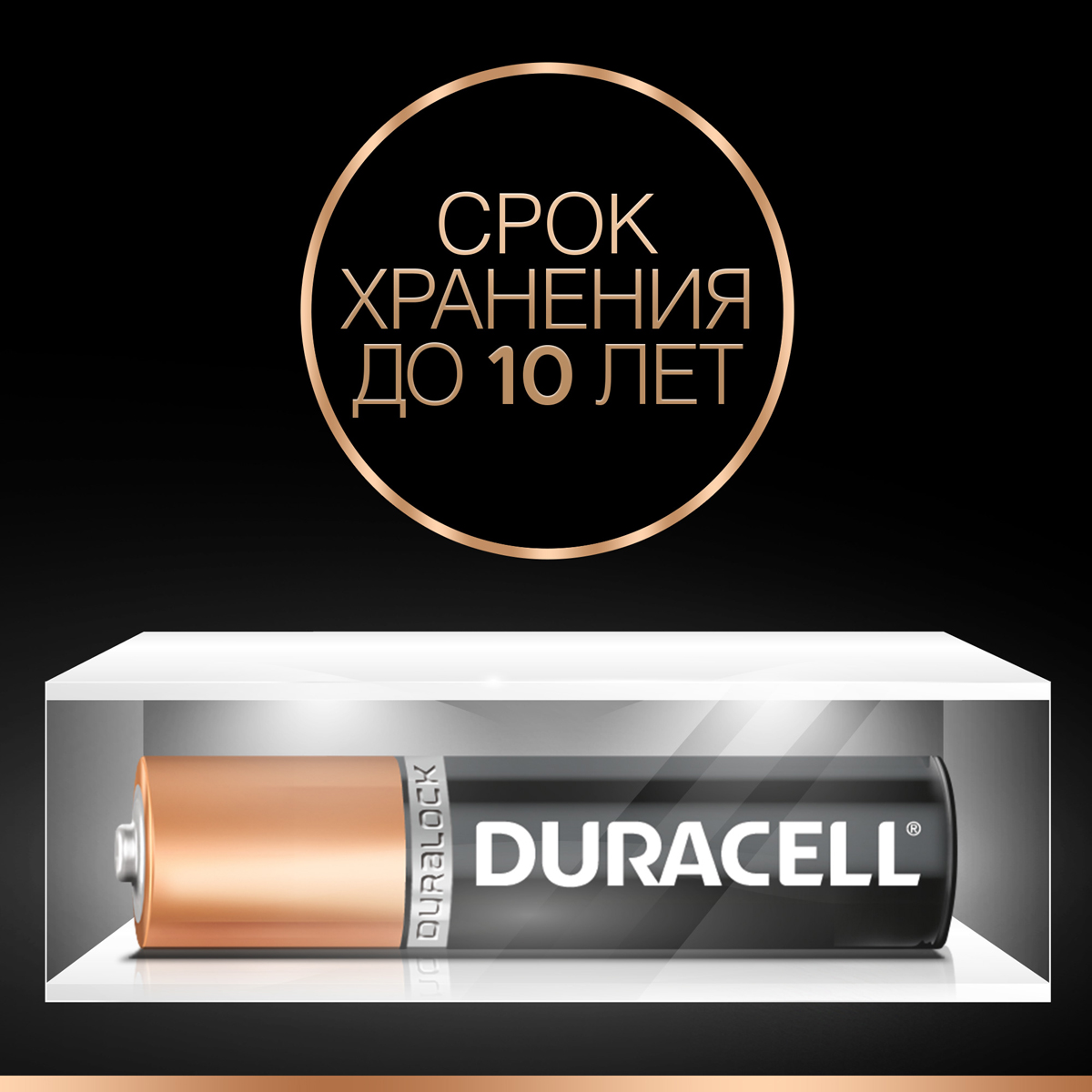 фото Набор щелочных батареек Duracell Basic, тип AAA, 8 шт