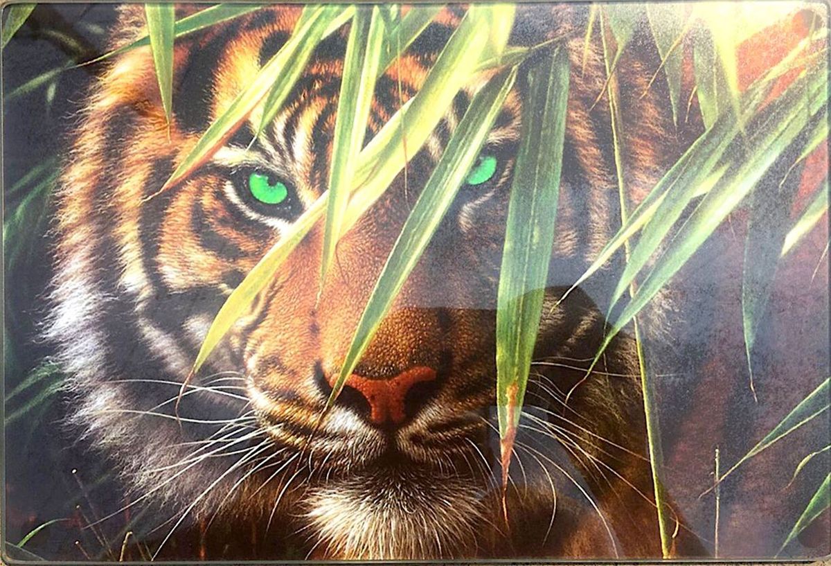 фото Доска разделочная Gift'n'Home "Тигр", 20 х 30 см