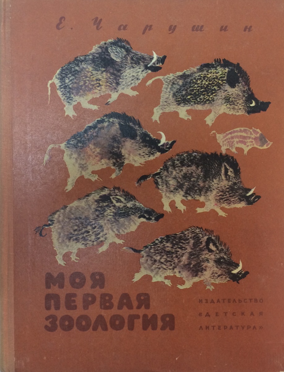 Моя первая зоология книга о птицах. Моя первая Зоология. Книга моя первая Зоология. Книга моя первая Зоология Чарушин. Книга моя первая Зоология про птиц 3.