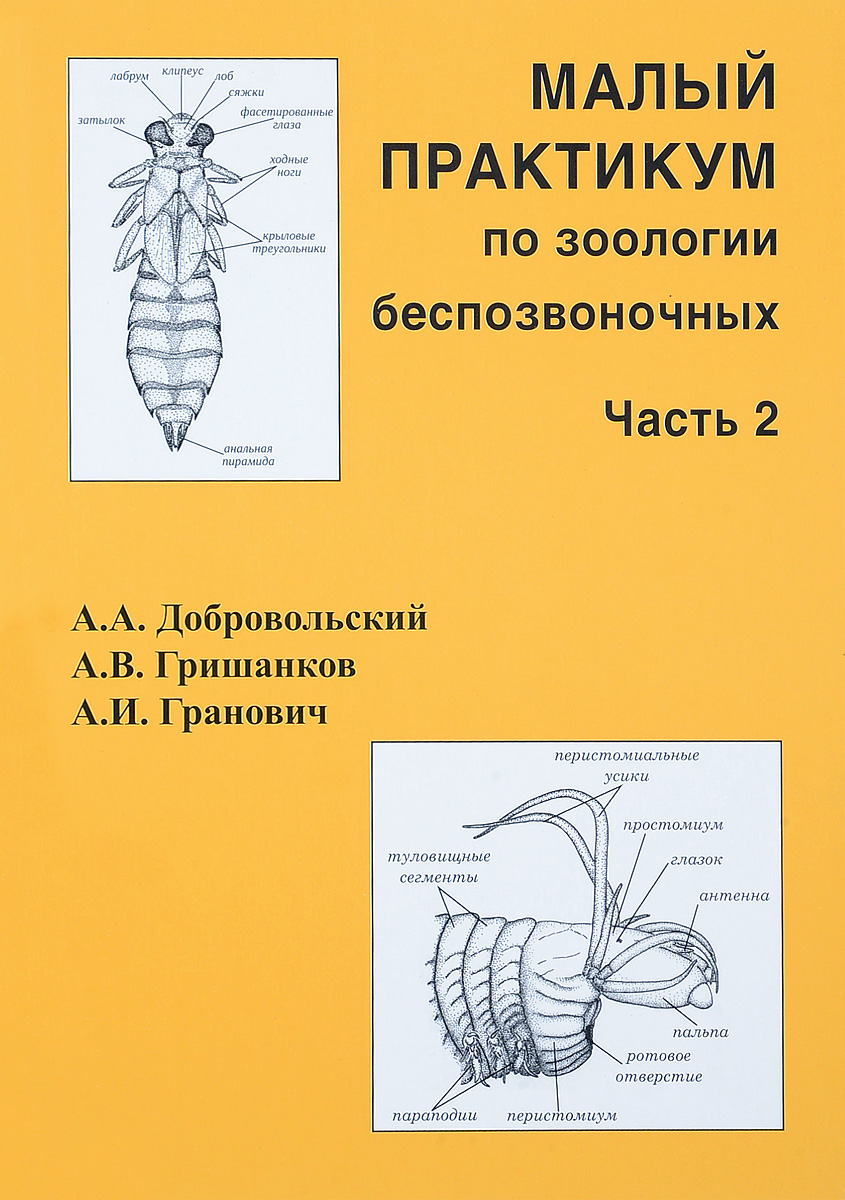 Малый практикум по зоологии беспозвоночных. Ч.2 | Добровольский Андрей  Александрович, Гранович Андрей Игоревич - купить с доставкой по выгодным  ценам в интернет-магазине OZON (268423056)