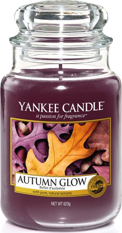 фото Свеча ароматизированная Yankee Candle "Осенний свет", в стеклянной банке