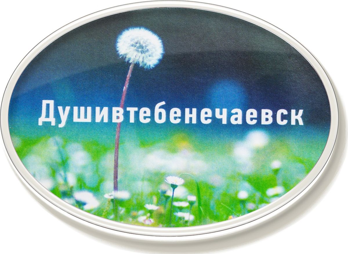 фото Магнит Бюро находок "Душивтебенечаевск", цвет: зеленый