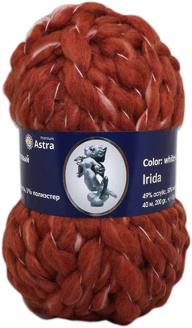 Пряжа для вязания Астра "Ирида", цвет: терракотовый (10), 200 г, 40 м, 2 шт