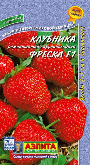 Сорт клубники фреска описание и фото