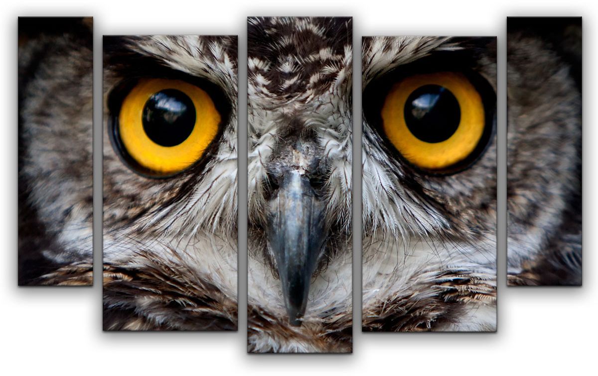 фото Картина модульная Картиномания "Взгляд совы", 120 x 77 см, Дерево, Холст