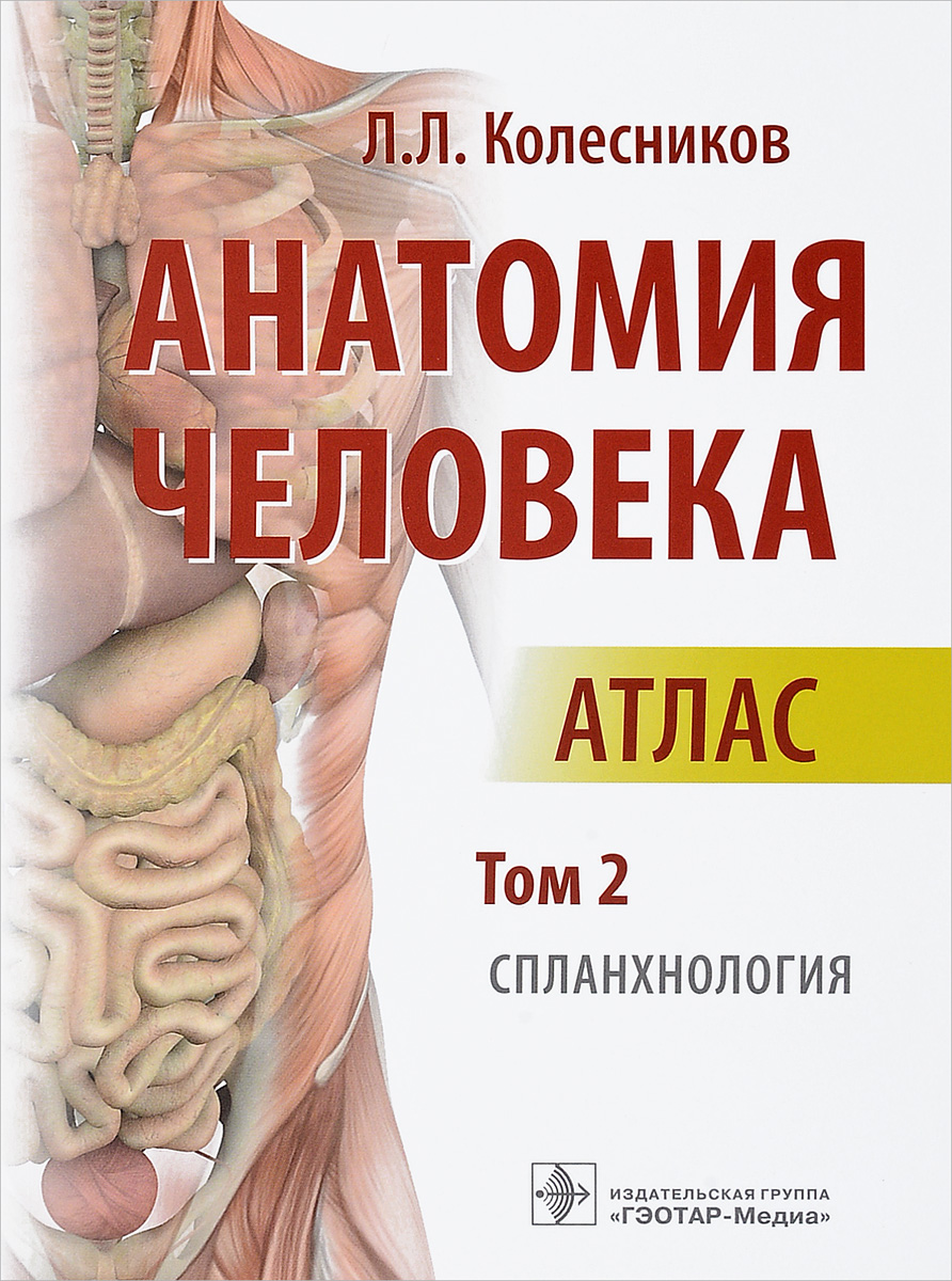 фото Анатомия человека. Атлас. В 3 томах. Том 2. Спланхнология