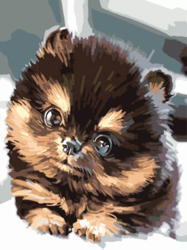 фото Набор для раскрашивания ТМ Цветной "Милый щенок шпица", 40 х 30 см