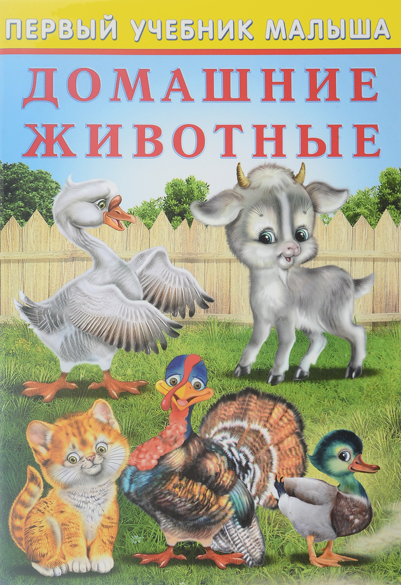 домашние животные книжка картинки