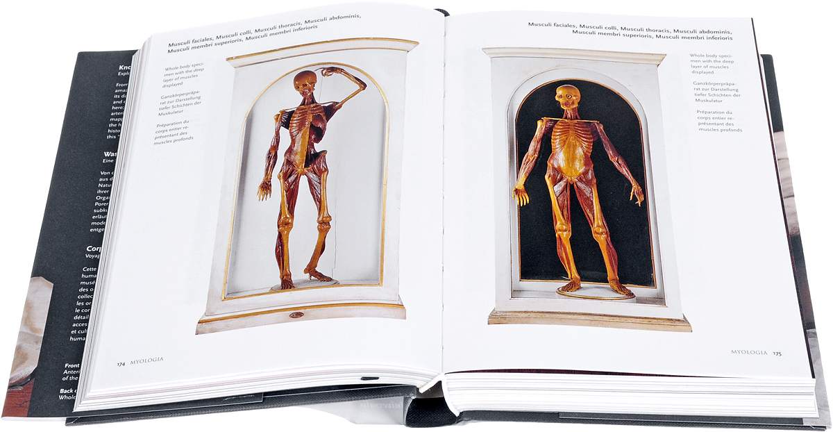 фото Encyclopaedia Anatomica Taschen