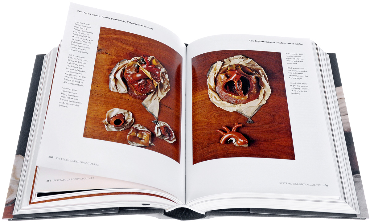 фото Encyclopaedia Anatomica Taschen