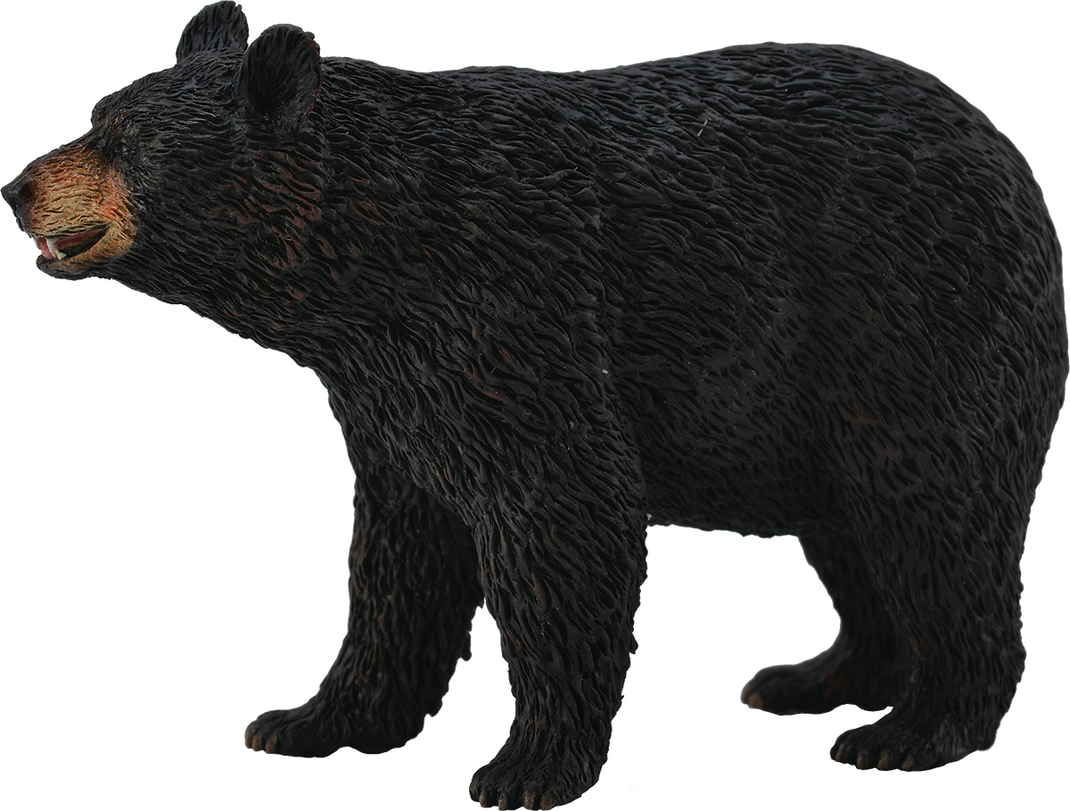 Collecta Фигурка Американский черный медведь