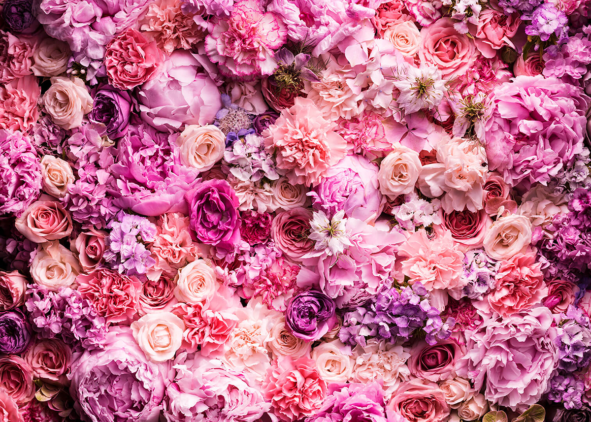 фото Фотообои PosterMarket "Розовые цветы", 254 x 184 см Постермаркет / postermarket