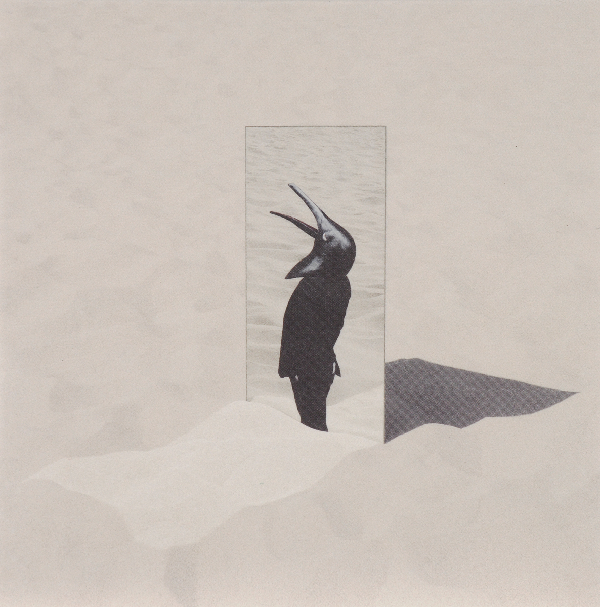 Penguin cafe orchestra