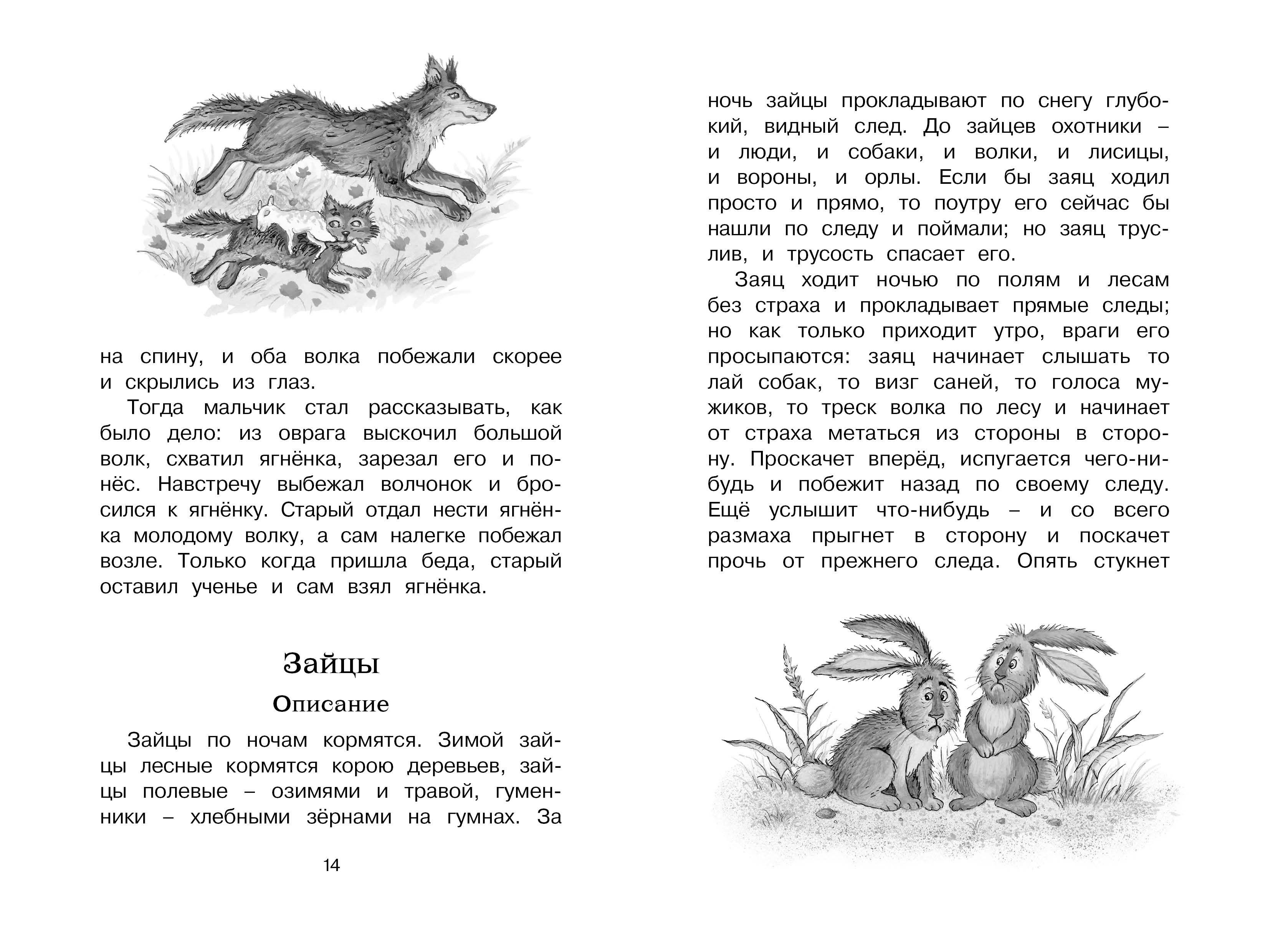 Л н толстой зайцы. Рассказ зайцы л.н.толстой. Лев Николаевич толстой рассказы. Сказки Льва Николая Толстого. Рассказ зайцы Лев толстой.