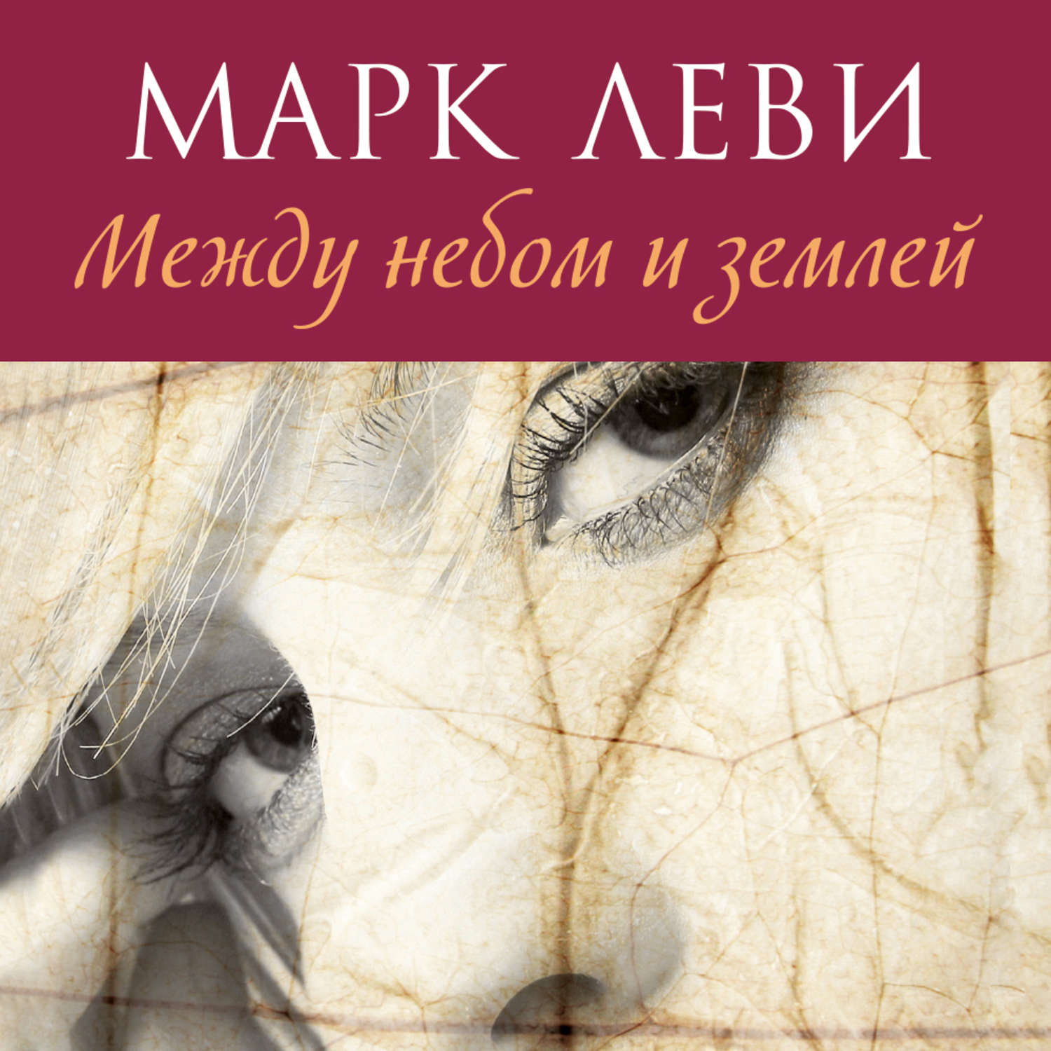 Марка леви. Марк Леви между небом и землей. Между небом и землей книга. Леви между небом и землей. Между небом и землей книга обложка.