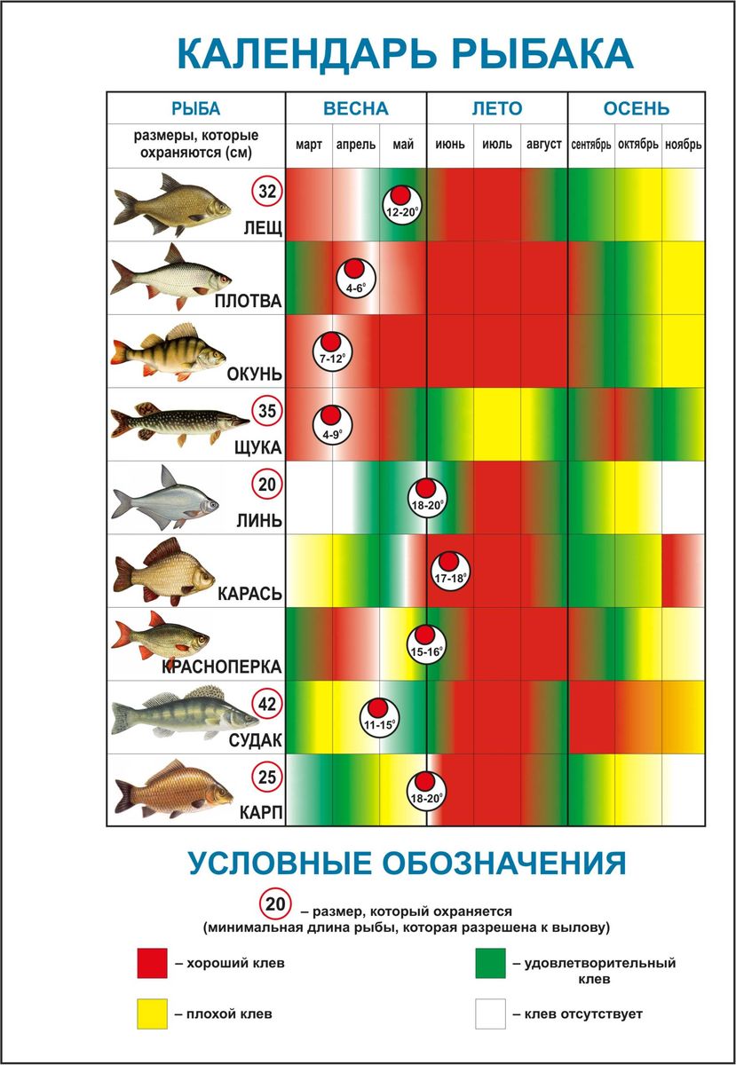 Календарь рыболова фото