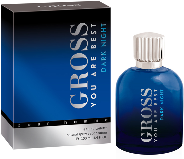 Christine Lavoiser Parfums Туалетная вода Gross Dark Night, мужская, 100 мл