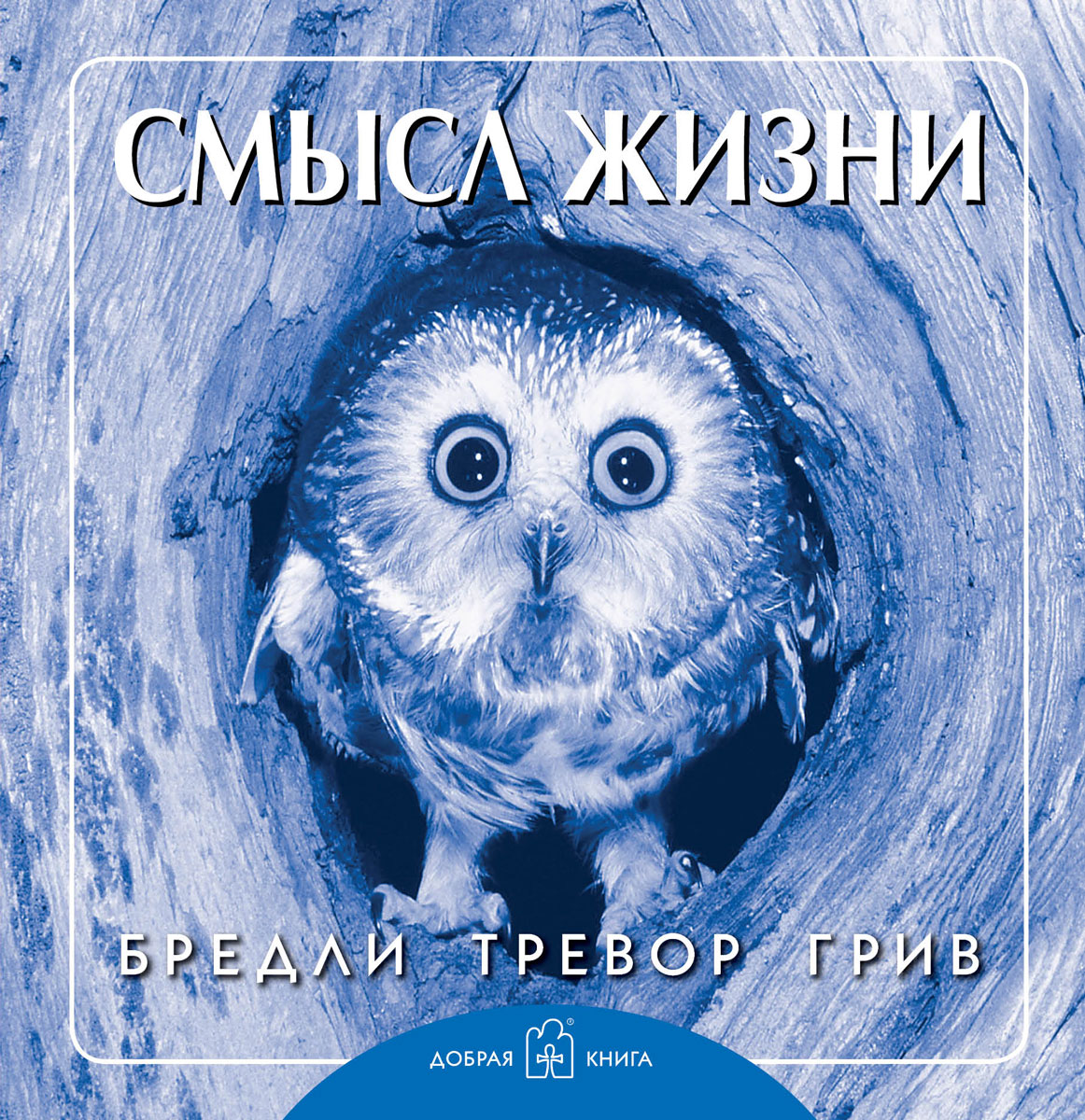 Смысл жизни. Бредли Тревор Грив