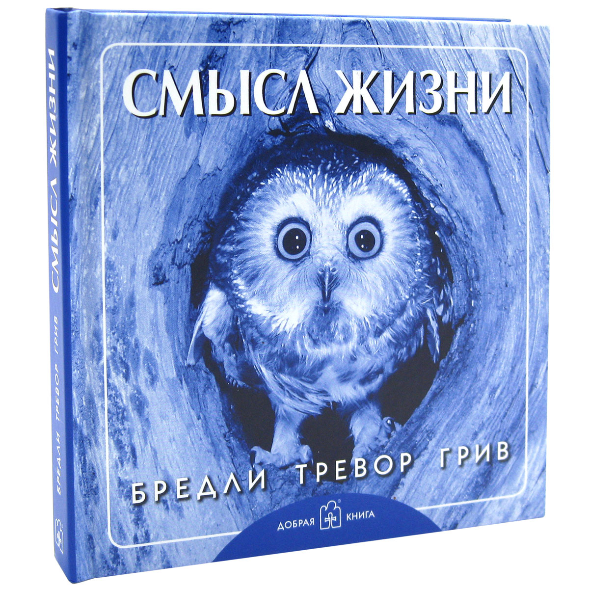 Смысл жизни. Бредли Тревор Грив