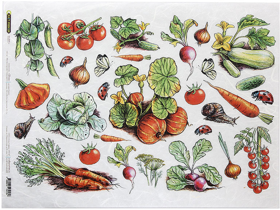 Иллюстрации для декупажа овощи