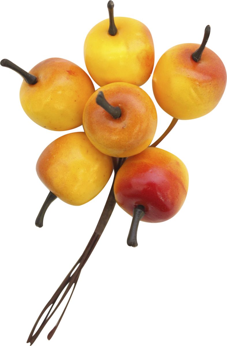 фото Декоративный букет для скрапбукинга Астра "Яблоки", цвет: красный, желтый, 11 х 7 см, 6 шт