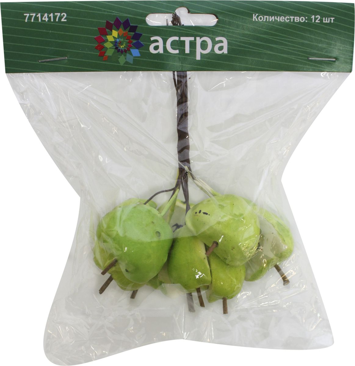 фото Декоративный букет для скрапбукинга Астра "Яблоки половинки", цвет: зеленый, 14 х 10 см, 12 шт