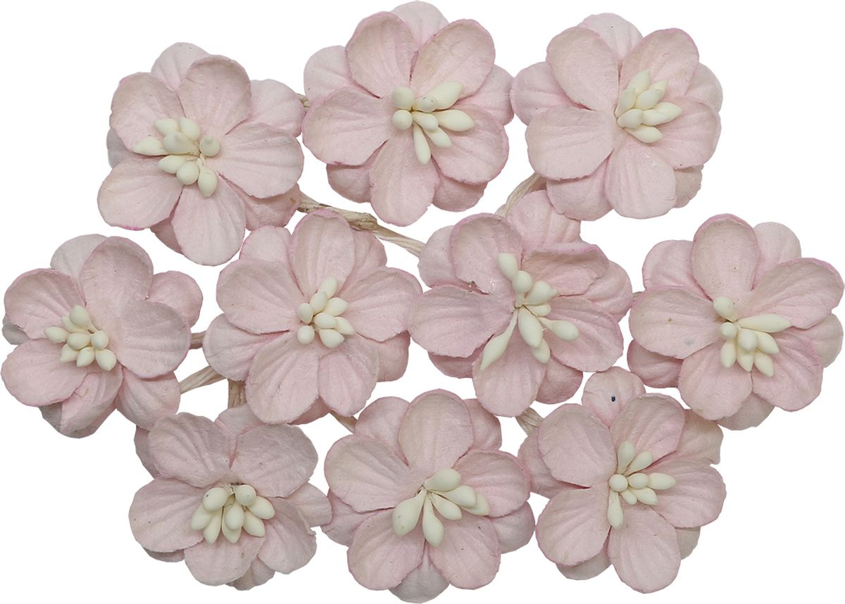 фото Украшение для скрапбукинга ScrapBerry's "Цветки вишни", цвет: светло-розовый, 10 шт